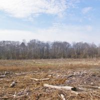 200 Acre Hunting Investment Home Site Land for Sale in SW MS images 5
