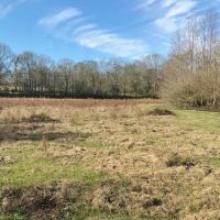 157 Acres Land for Sale Kentwood  Tangipahoa Parish  LA