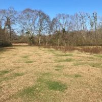 157 Acres Land for Sale Kentwood  Tangipahoa Parish  LA images 2