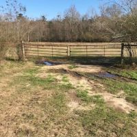 157 Acres Land for Sale Kentwood  Tangipahoa Parish  LA images 4