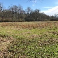157 Acres Land for Sale Kentwood  Tangipahoa Parish  LA images 6
