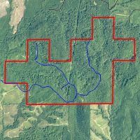 Timber Investment Property Near Pebble Hill-South Of Camden images 2