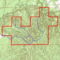 Timber Investment Property Near Pebble Hill-South Of Camden
