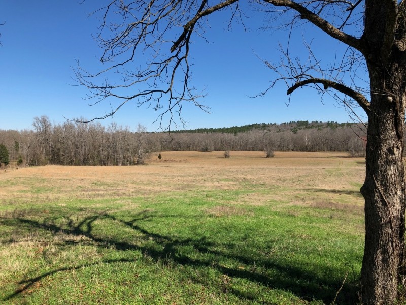 Hilldale River Farm featured image
