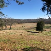 Hilldale River Farm images 6