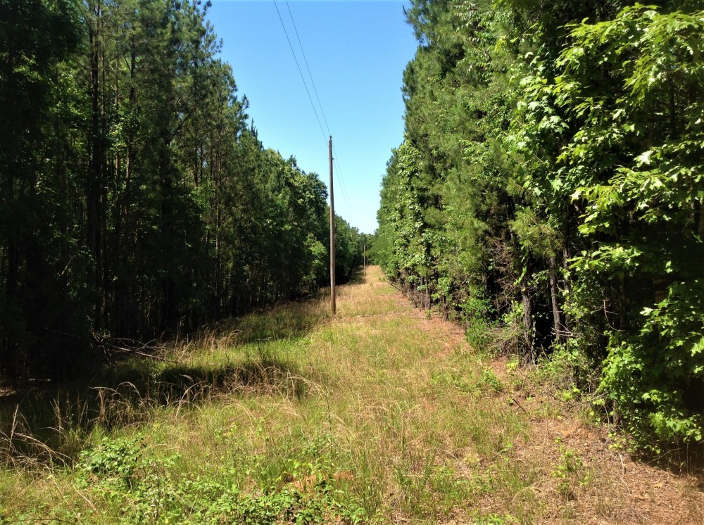 29-063b-town-creek-53 featured image