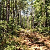 29-063b-town-creek-53 images 2