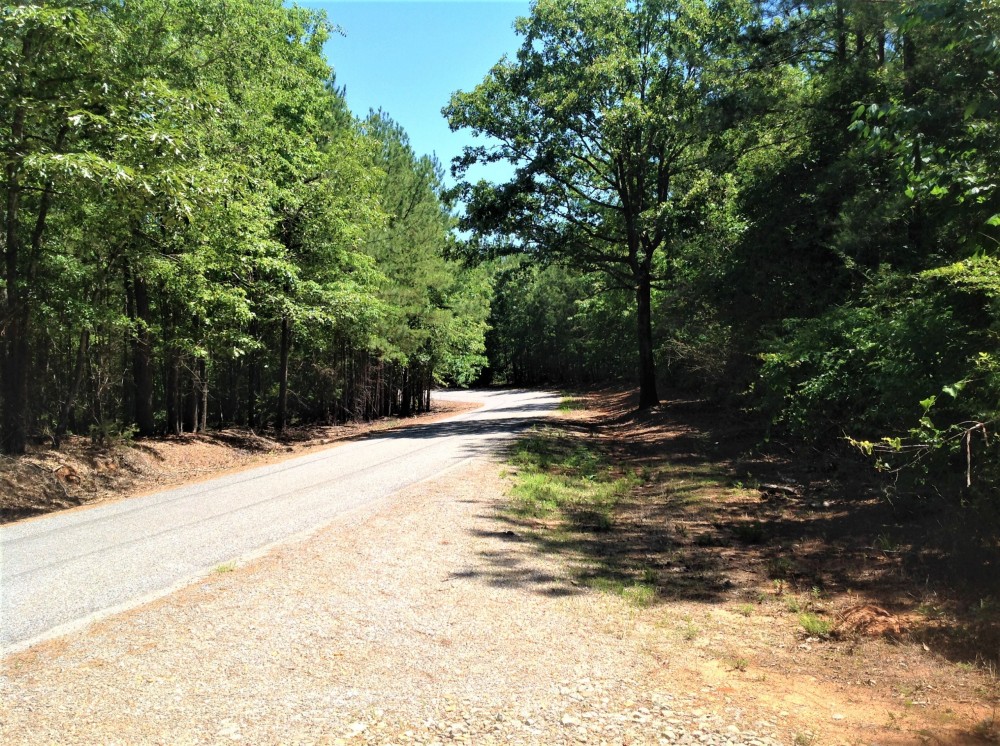 29-063a-town-creek-24 featured image