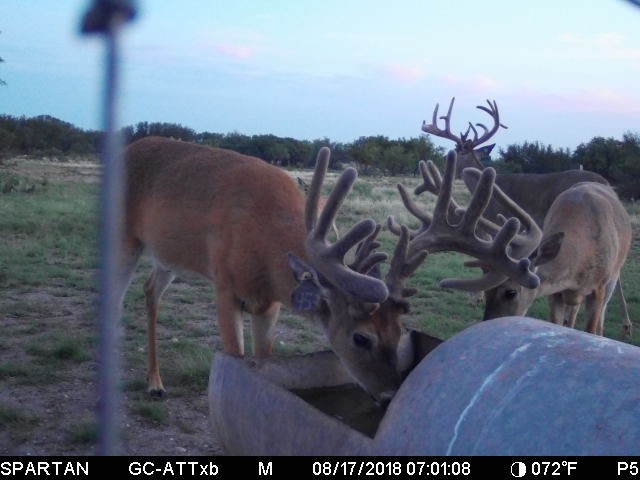 400 Acre Exotic Ranch featured image