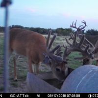 400 Acre Exotic Ranch
