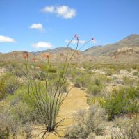 Off Grid Cabin images 3