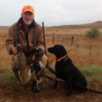 Wing Ranch images 1