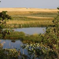 Wing Ranch images 2
