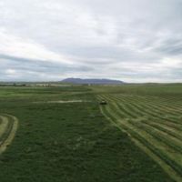 Wing Ranch images 6