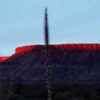 East Rim Ranch 80 Acre Tract