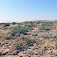 East Rim Ranch 80 Acre Tract images 4