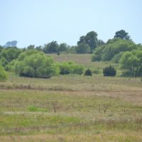 Dueling Ponds 476 images 2