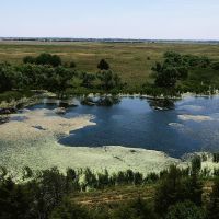 Dueling Ponds 476 images 3