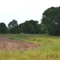 Dueling Ponds 476 images 6