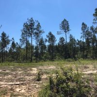7.66 Acres in NPSD images 3