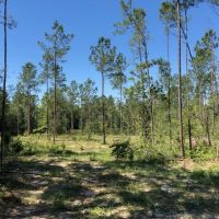 7.66 Acres in NPSD images 4