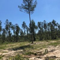 7.66 Acres in NPSD images 5