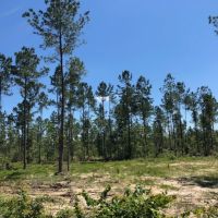 7.66 Acres in NPSD images 6