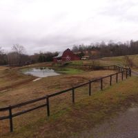37 Acres Dickson County images 4
