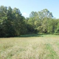 R A Dowdy Estate