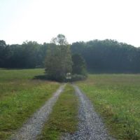 R A Dowdy Estate images 2