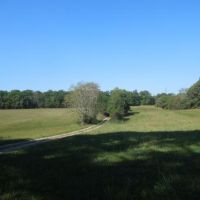 R A Dowdy Estate images 3