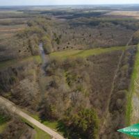 80 ac - Wooded Tract for Hunting or Home Site images 2
