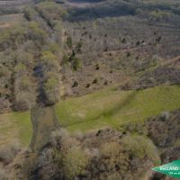 80 ac - Wooded Tract for Hunting or Home Site images 3