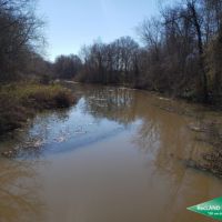 80 ac - Wooded Tract for Hunting or Home Site images 4