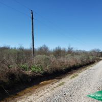 80 ac - Wooded Tract for Hunting or Home Site images 6