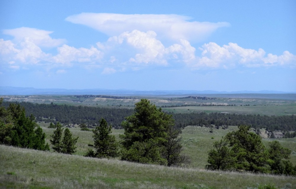 Nhn N Frontier Trail featured image