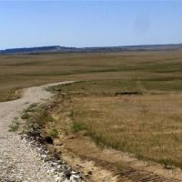 Nhn N Frontier Trail images 5