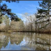 40 Acres in Claiborne County in Pattison  MS