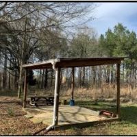 40 Acres in Claiborne County in Pattison  MS images 2