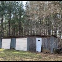 40 Acres in Claiborne County in Pattison  MS images 3