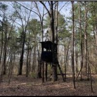 40 Acres in Claiborne County in Pattison  MS images 6