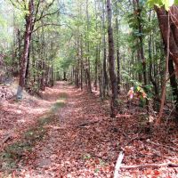 08-041-turkey-ridge images 2