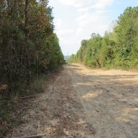 08-041-turkey-ridge images 3