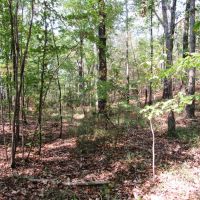 08-041-turkey-ridge images 5