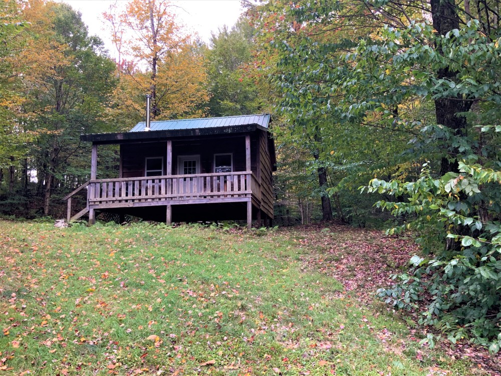 6 acres Cabin near Empeyville Pond featured image