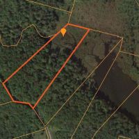 6 acres Cabin near Empeyville Pond images 3
