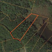 6 acres Cabin near Empeyville Pond images 5