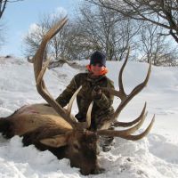 Hundreds of Acres of  Private Michigan Hunting Habitat w/ Record-setting Elk