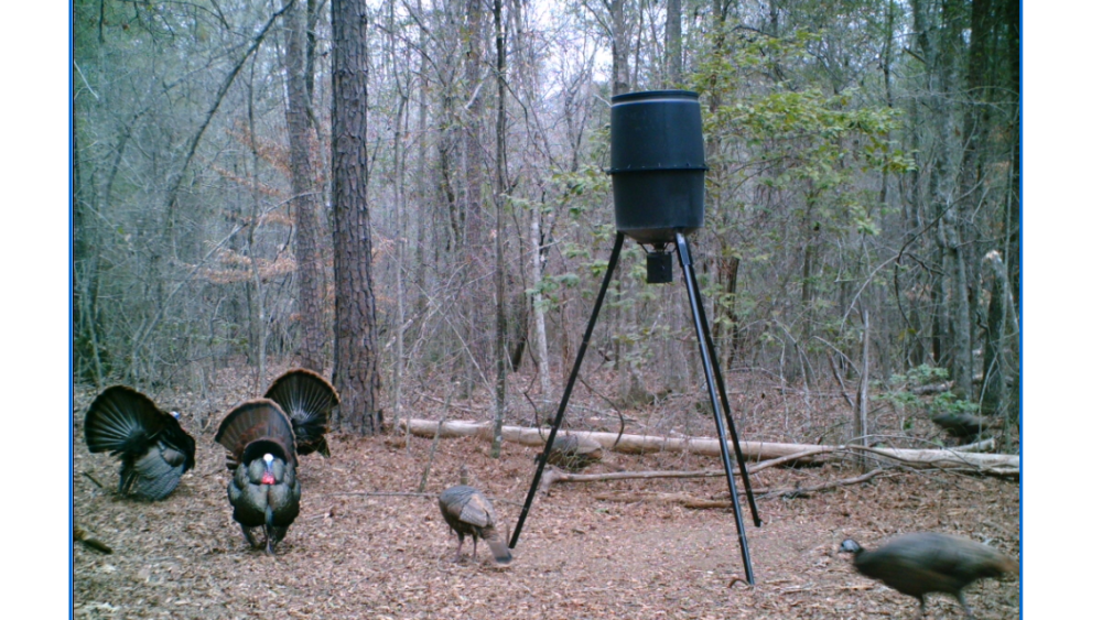 14-001-bearden-151 featured image
