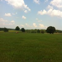 14-001-bearden-151 images 2